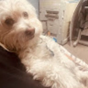 Meet your Posher, Martha